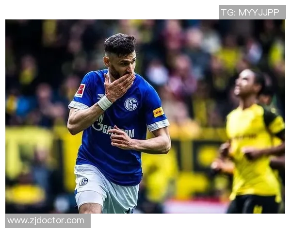 霍芬海姆与沙尔克04对决分析及比赛前瞻详解